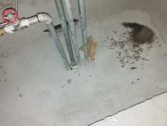 平塘卫生间测漏水价格明细