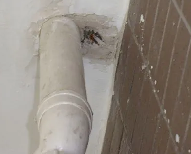 平塘漏水检测哪家好